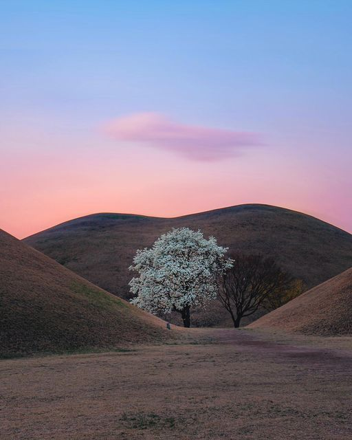 경주